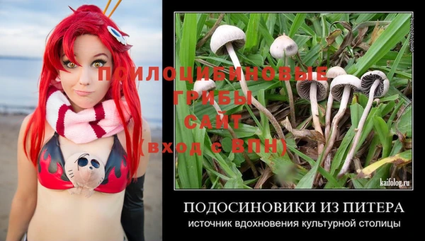 экстази Новозыбков