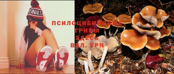метадон Новодвинск